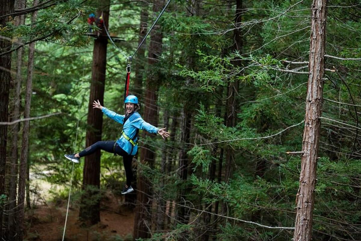 a person on a zip line in the forest