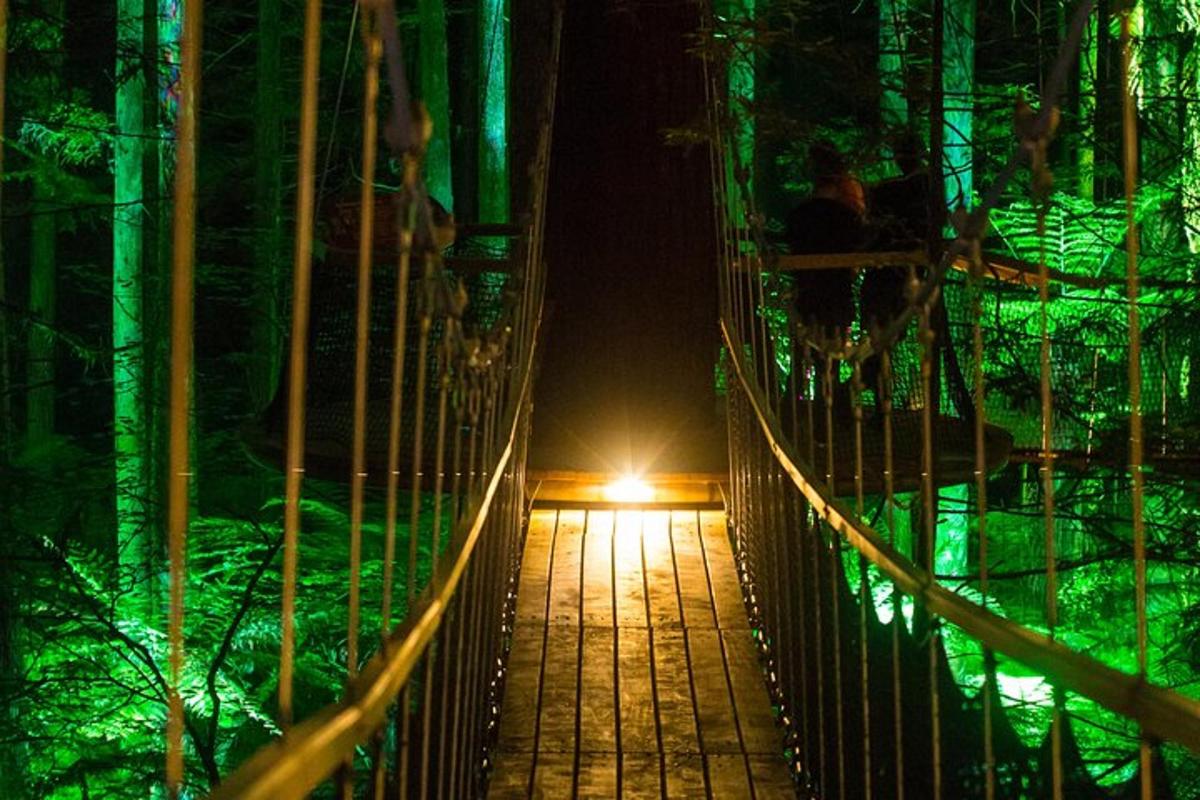 a suspension bridge in a forest at night