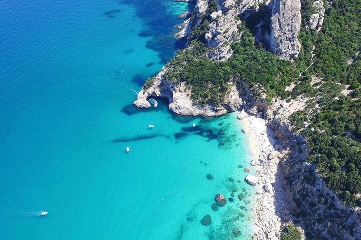 an aerial view of a beach and the ocean