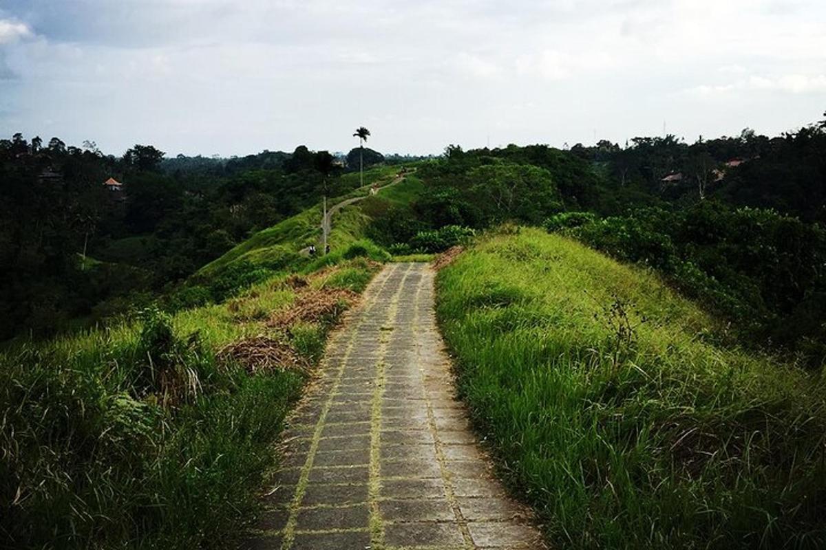 una strada sterrata in mezzo a un campo