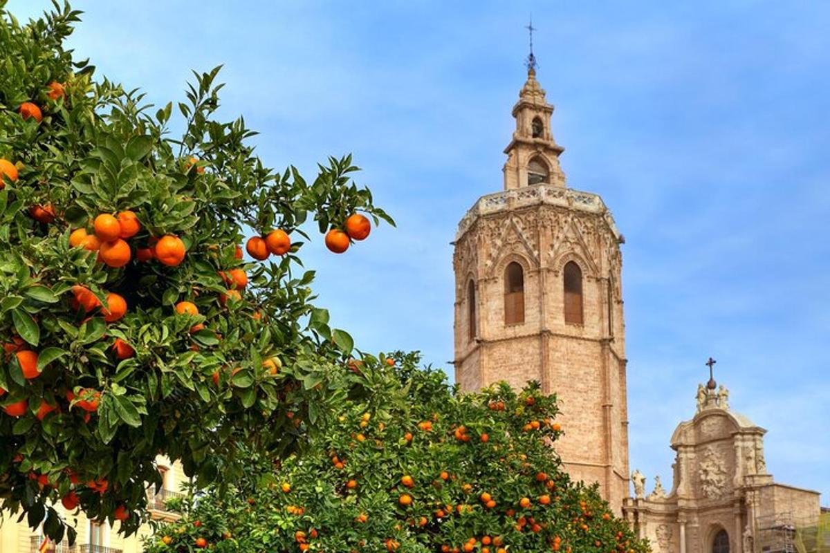 un albero di arance davanti a una chiesa con una torre