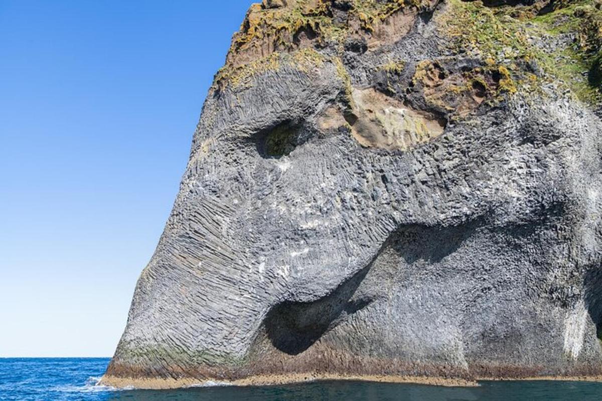 una faccia di elefante su una roccia nell'oceano