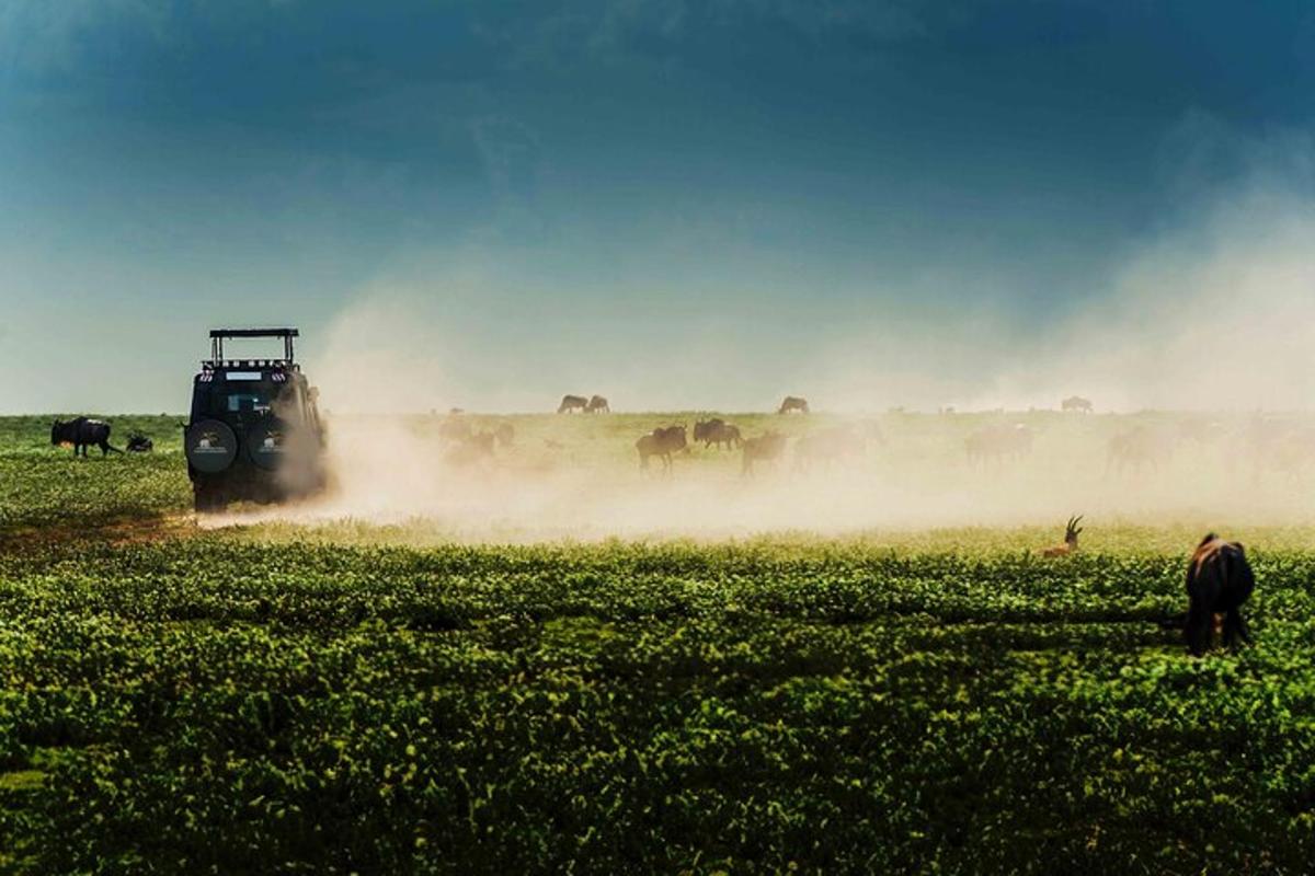 traktor di padang dengan kuda di latar belakang