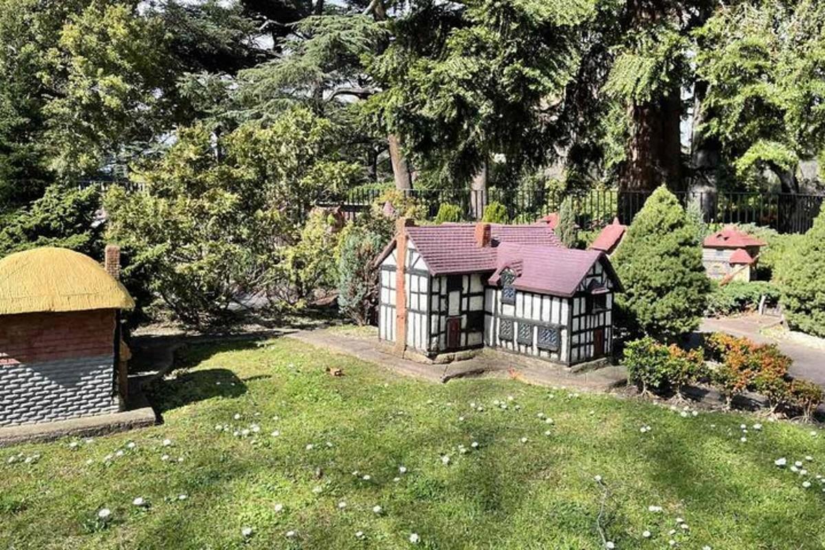una pequeña casa en medio de un patio