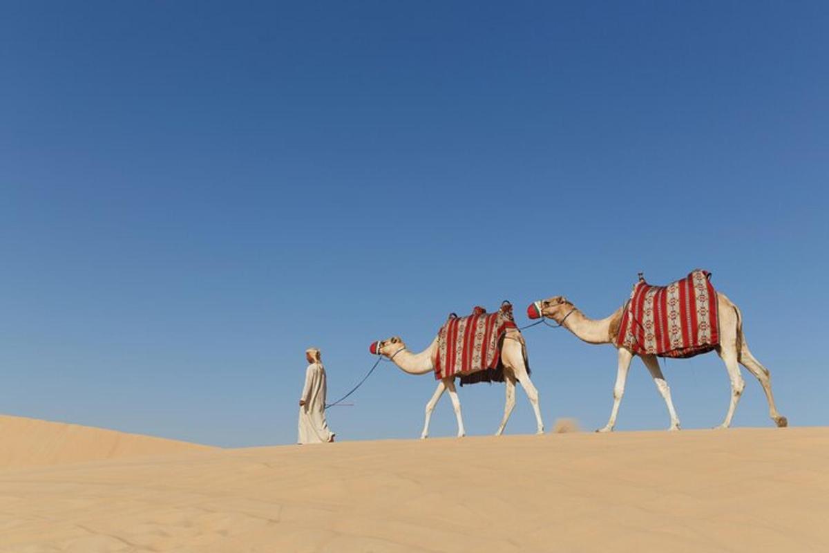 un gruppo di cammelli che camminano nel deserto