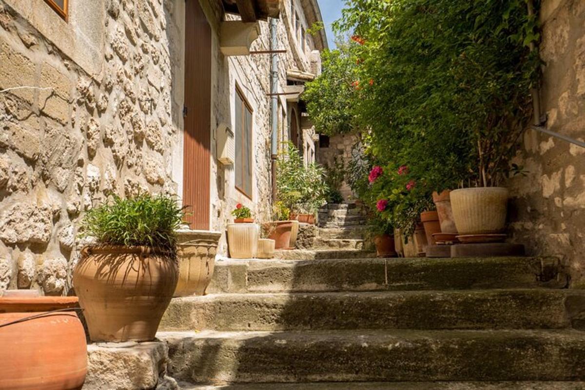 Un callejón con escaleras y plantas en macetas al costado de un edificio.