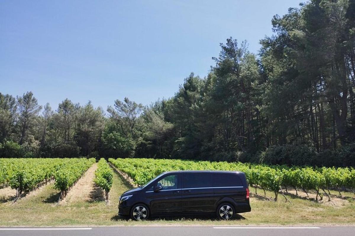 Una camioneta negra estacionada frente a un viñedo