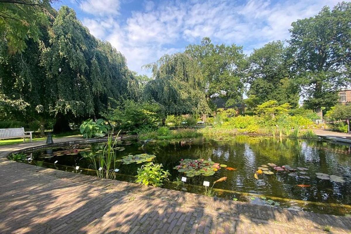 egy park tóval, sok virággal és fával