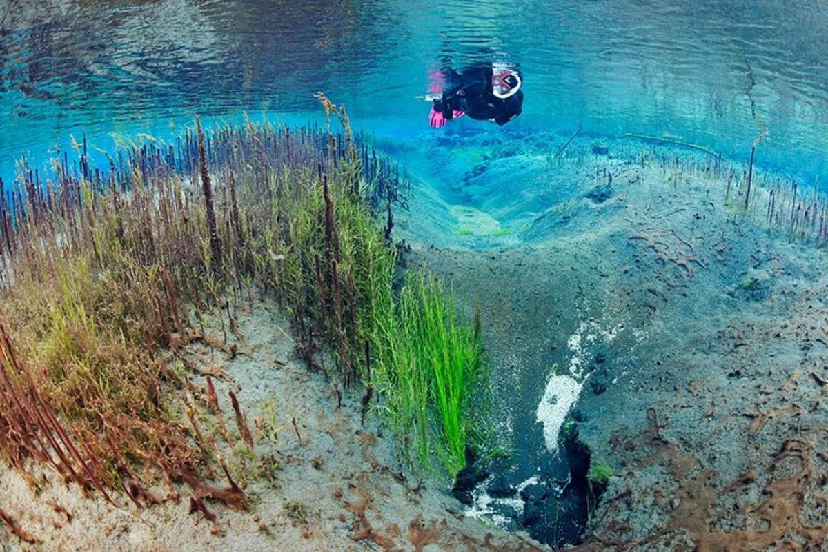 seseorang yang berenang di dalam air berhampiran terumbu karang