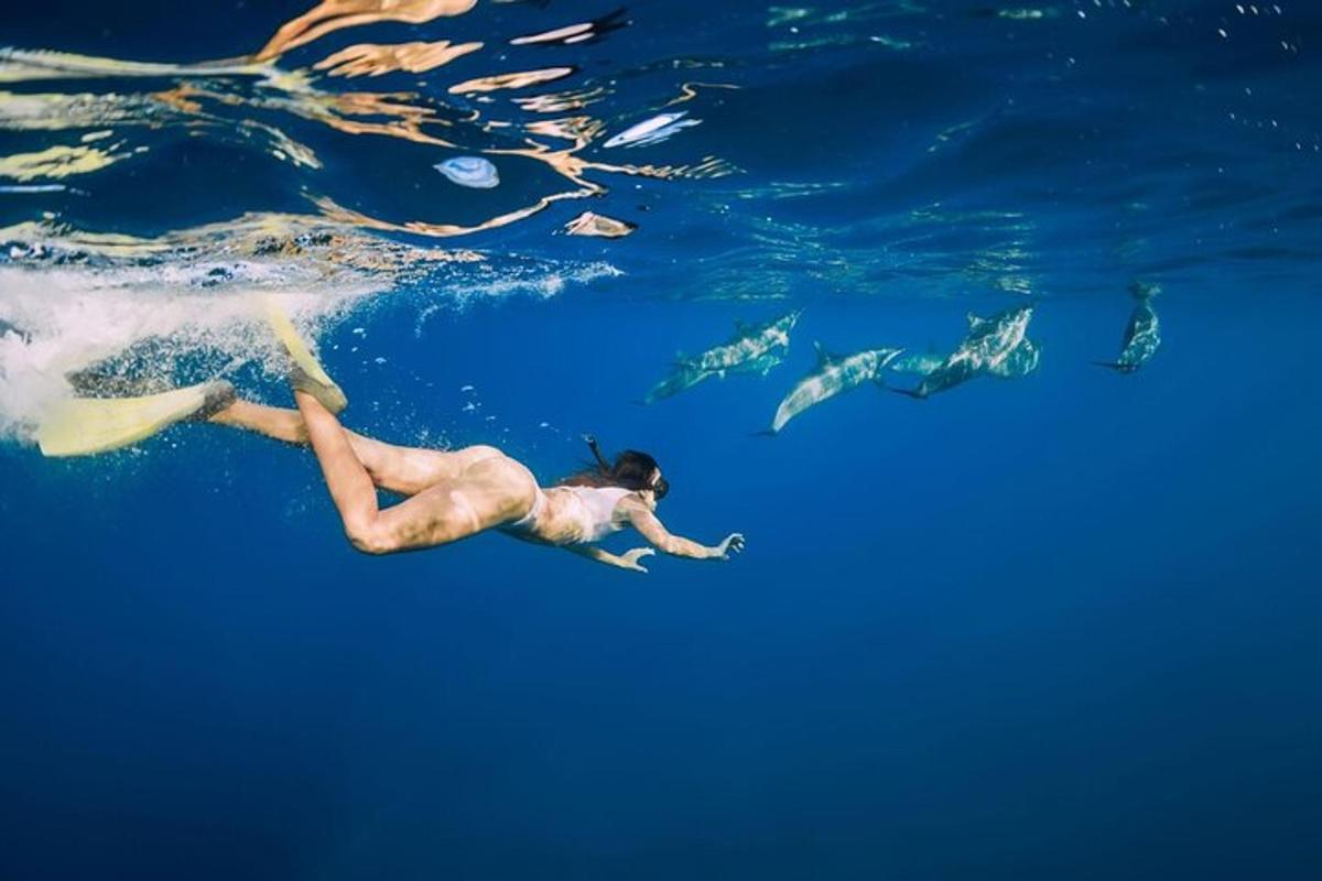 seorang wanita berenang di air dengan sekelompok ikan