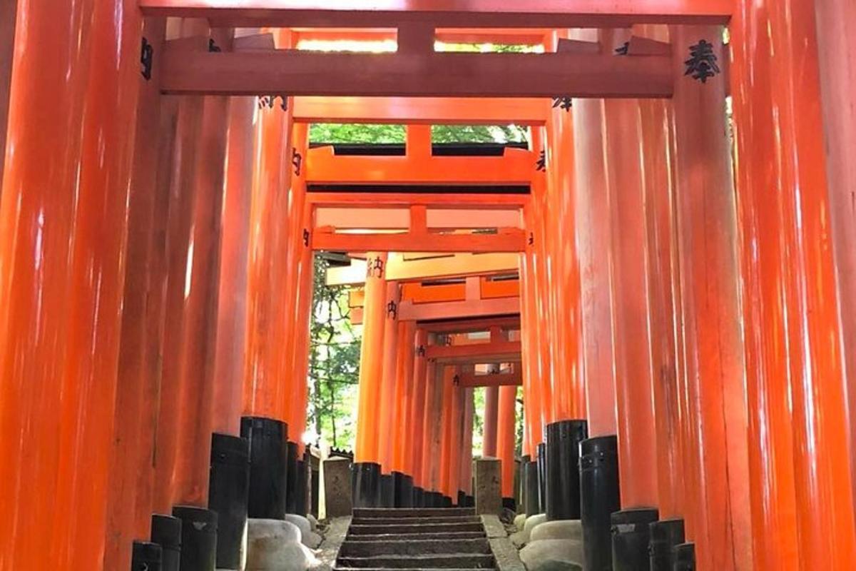 egy szentély bejárata narancssárga torii kapukkal