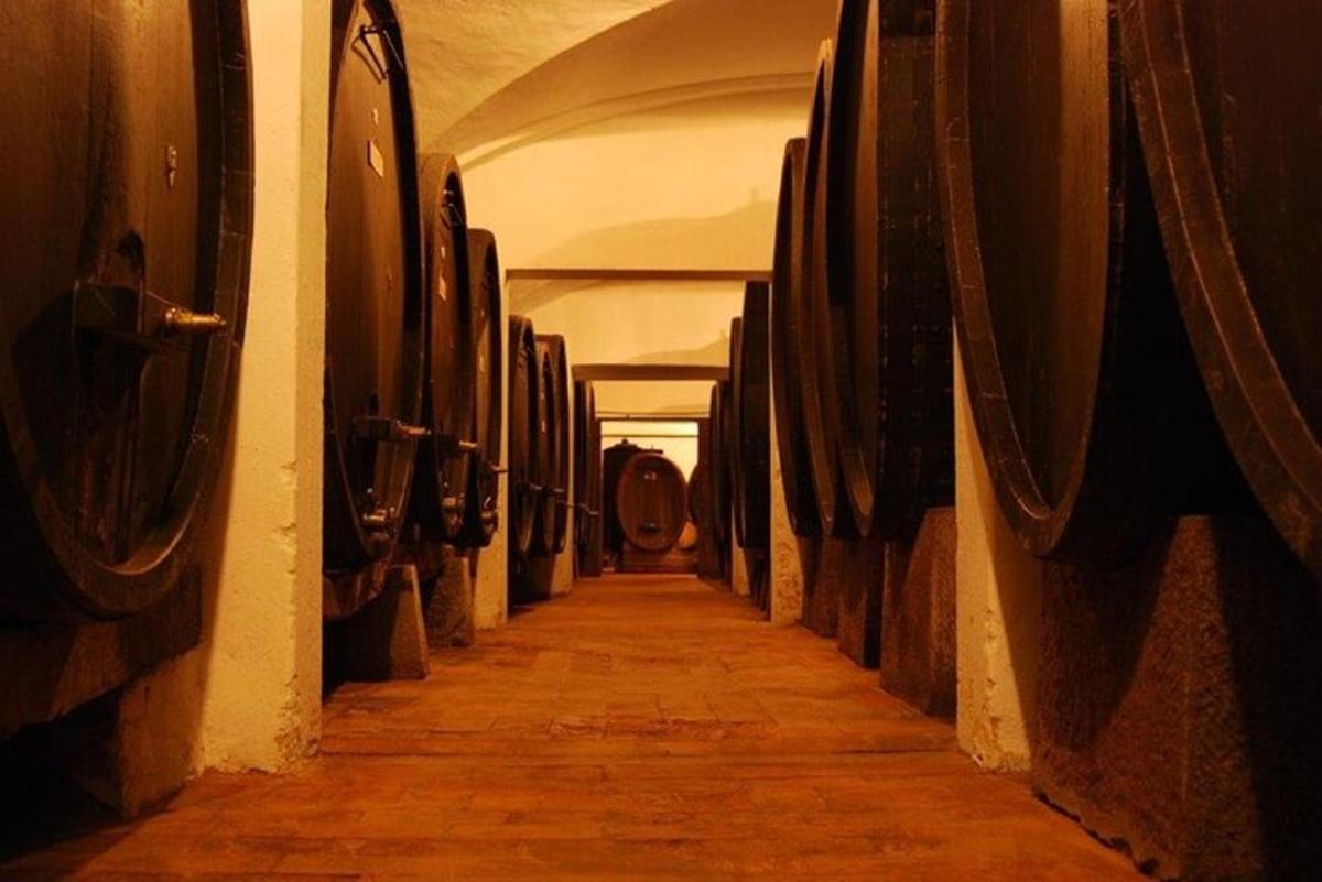a hallway of a wine cellar with wine barrels