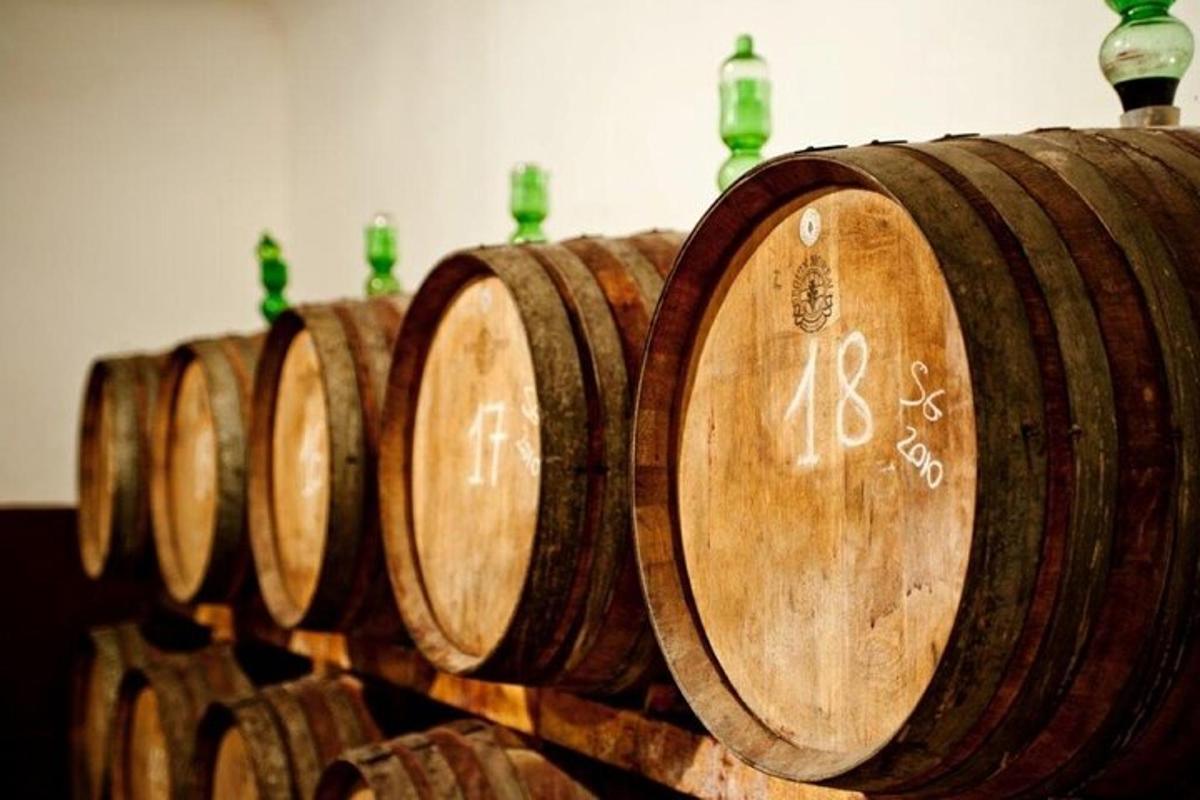 a row of wooden wine barrels in a room