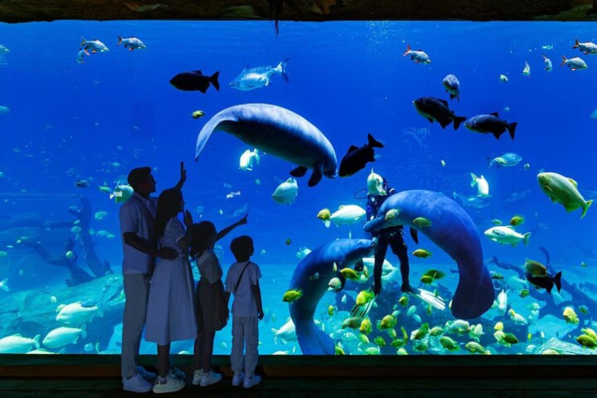 a family looking at fish in an aquarium