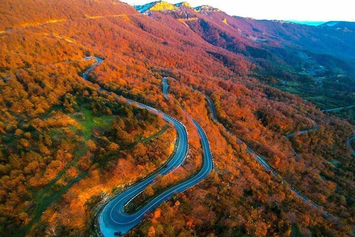 pemandangan udara jalan berliku di hutan