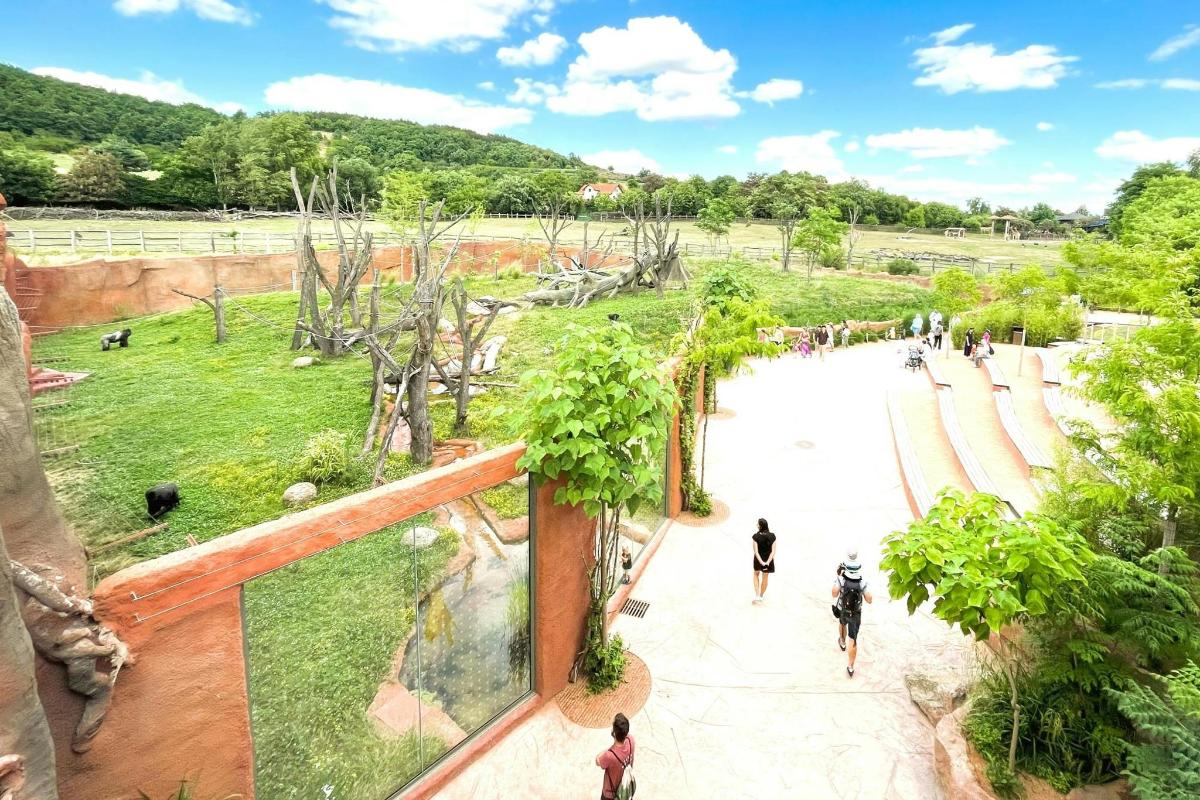 a group of people walking in a park