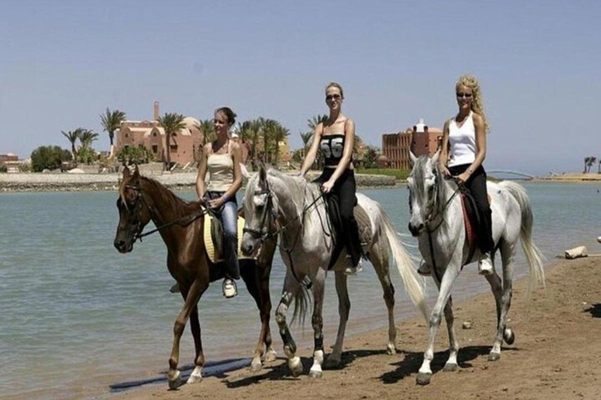 trei femei călăresc cai pe plajă