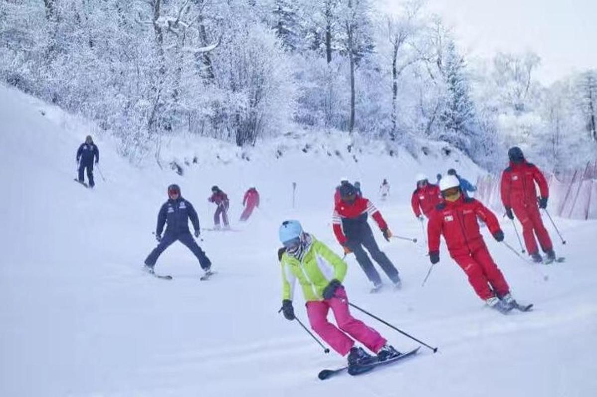 skupina lidí sjíždějících lyže po zasněženém svahu