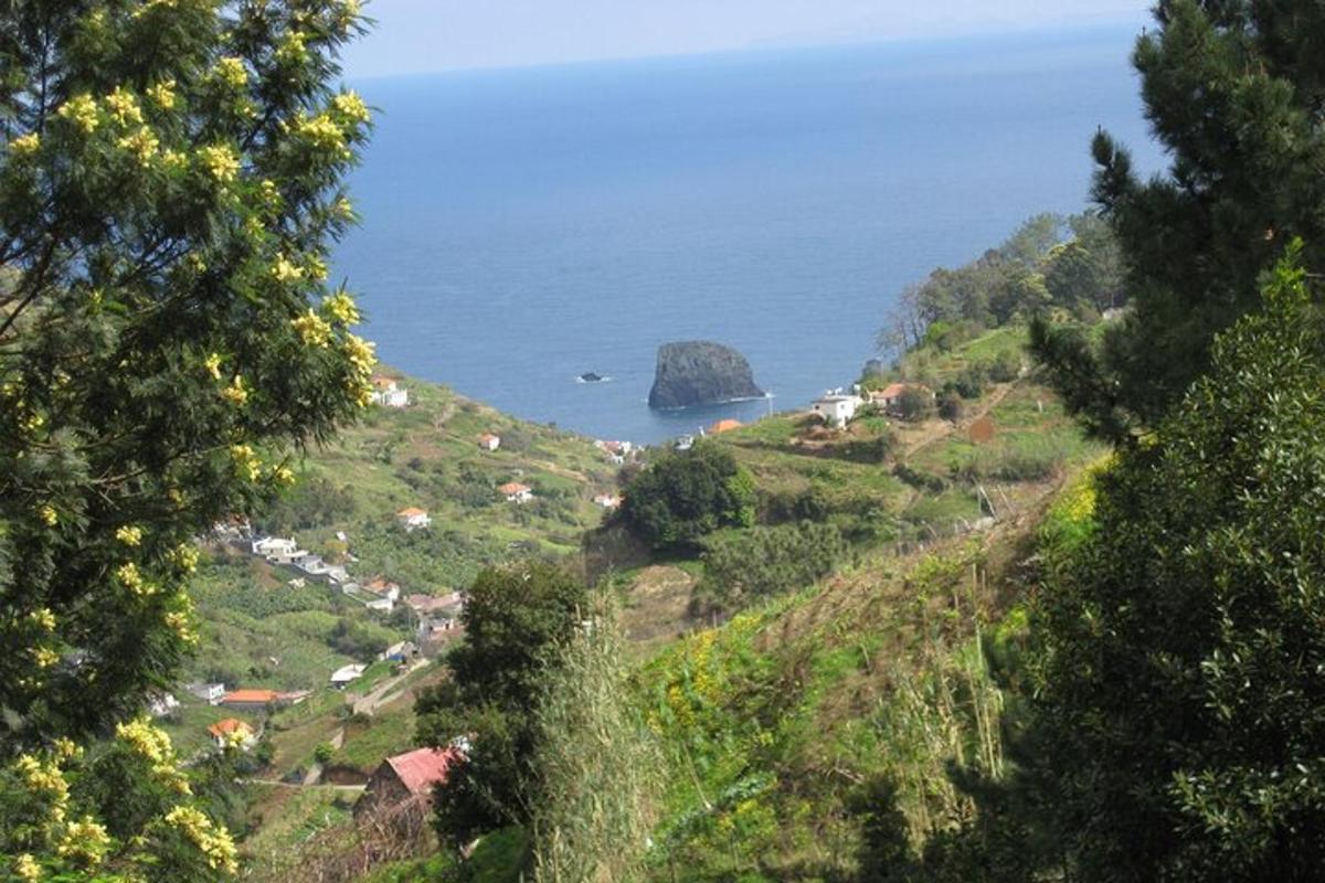 uma vista do oceano de uma colina