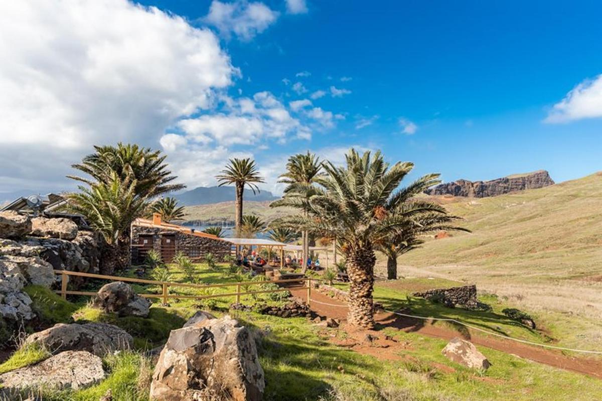 un resort con palme e montagne sullo sfondo