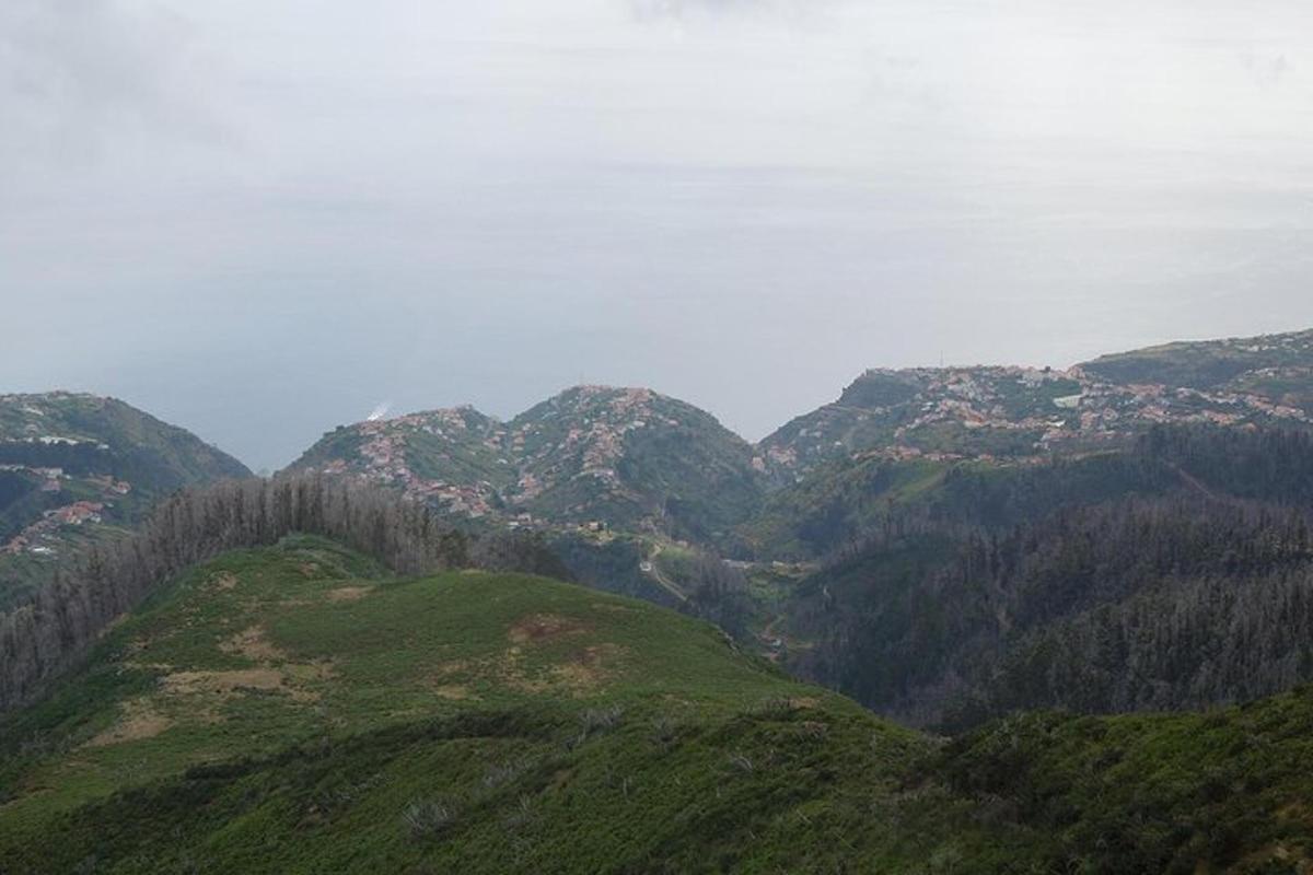 pemandangan banjaran gunung dengan pokok di atasnya