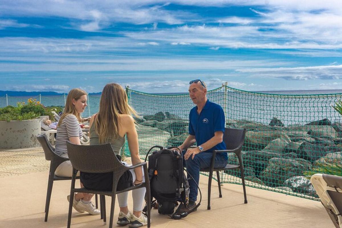 um grupo de pessoas sentadas em cadeiras olhando para o oceano