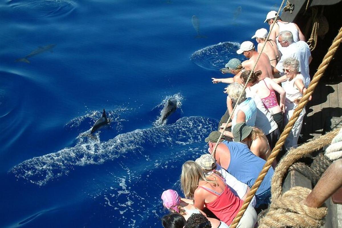 a group of people watching dolphins in the water