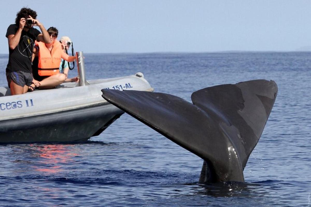 um grupo de pessoas em um barco com cauda de baleia