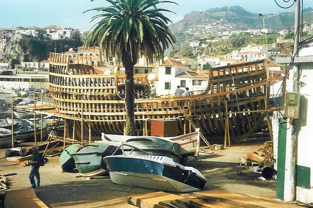 un gruppo di barche parcheggiate accanto a una palma