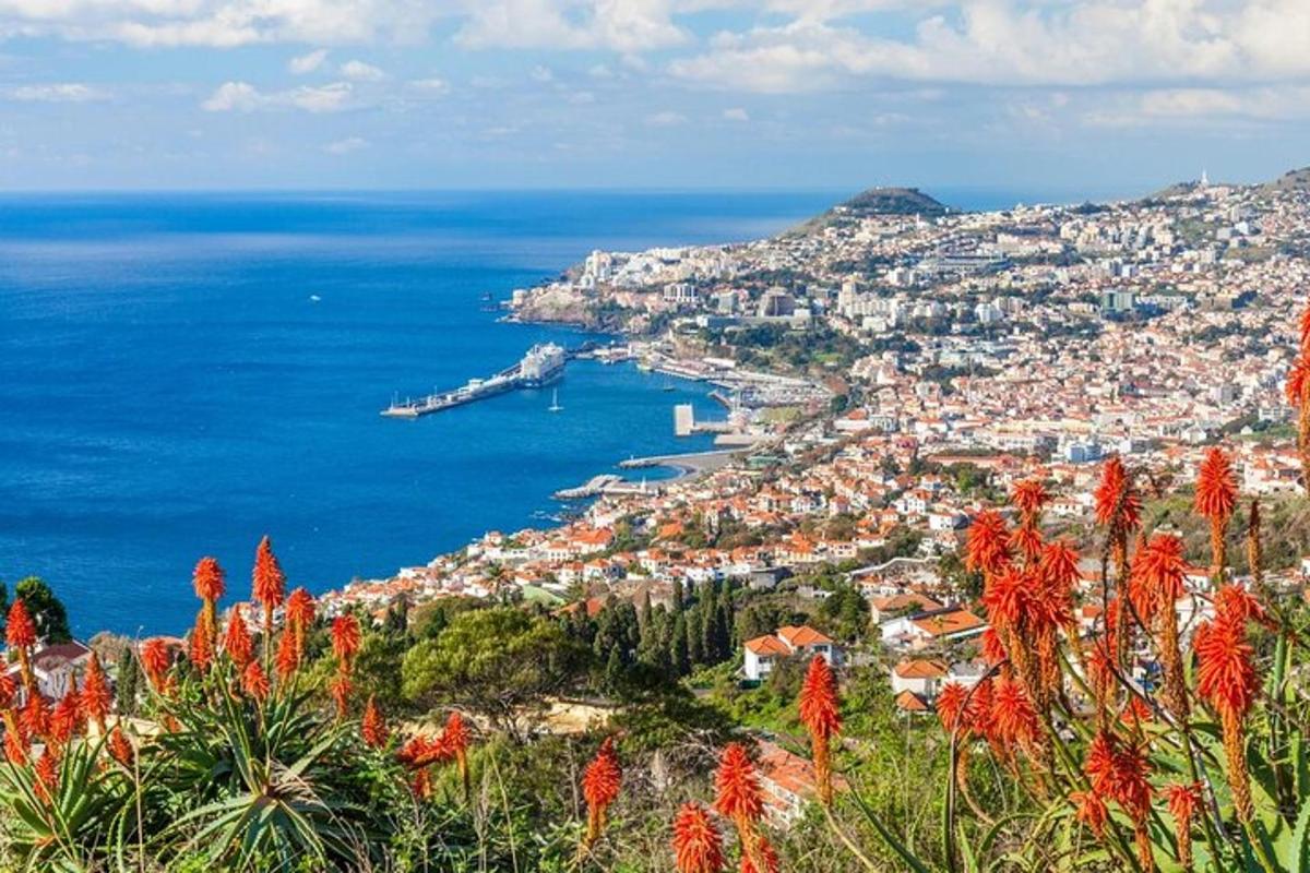 una vista di una città con fiori rossi su una collina