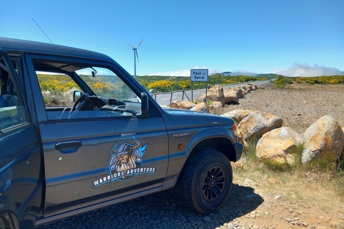 a blue truck with a lion logo on the side of it