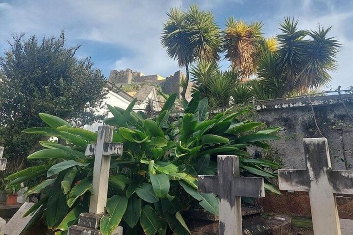 ένας σταυρός μπροστά από ένα νεκροταφείο με φοίνικες