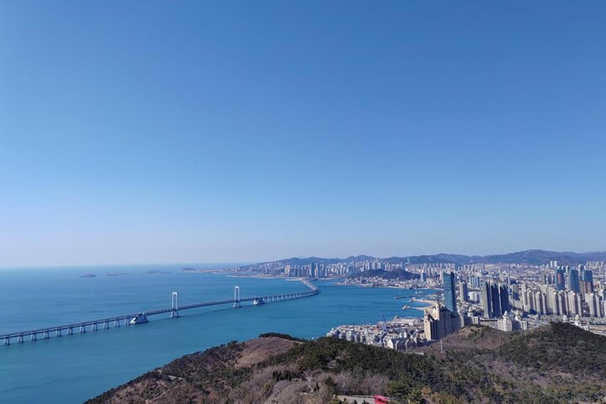 a view of a city with a bridge over the water