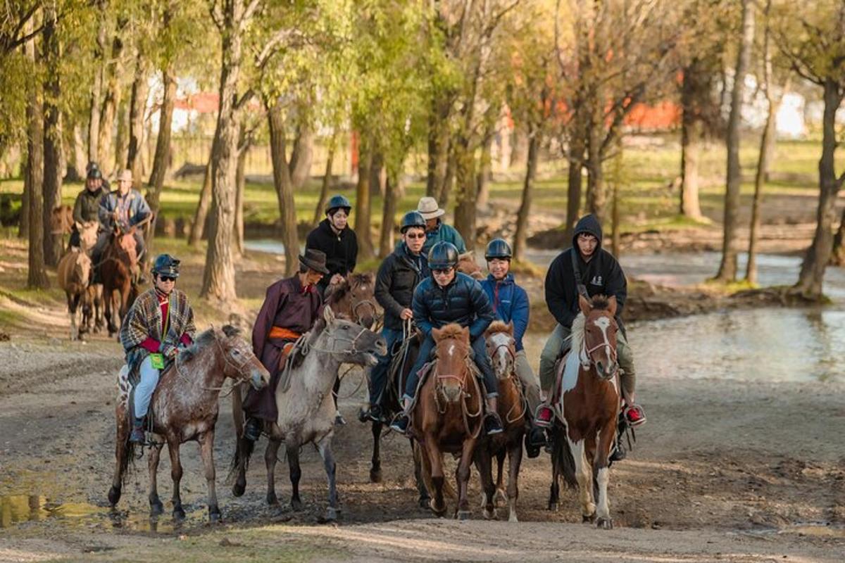a group of people riding horses on a path
