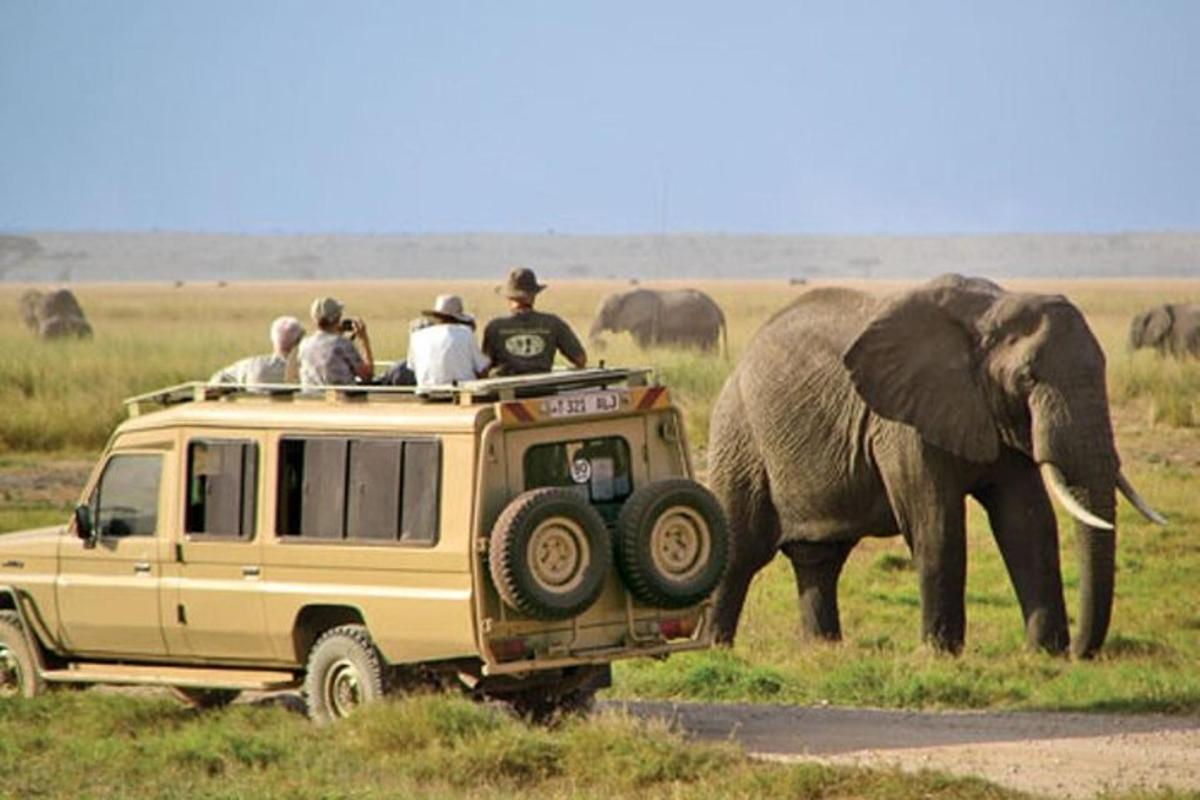 un grup de oameni care călătoresc în spatele unui vehicul de safari cu un elefant