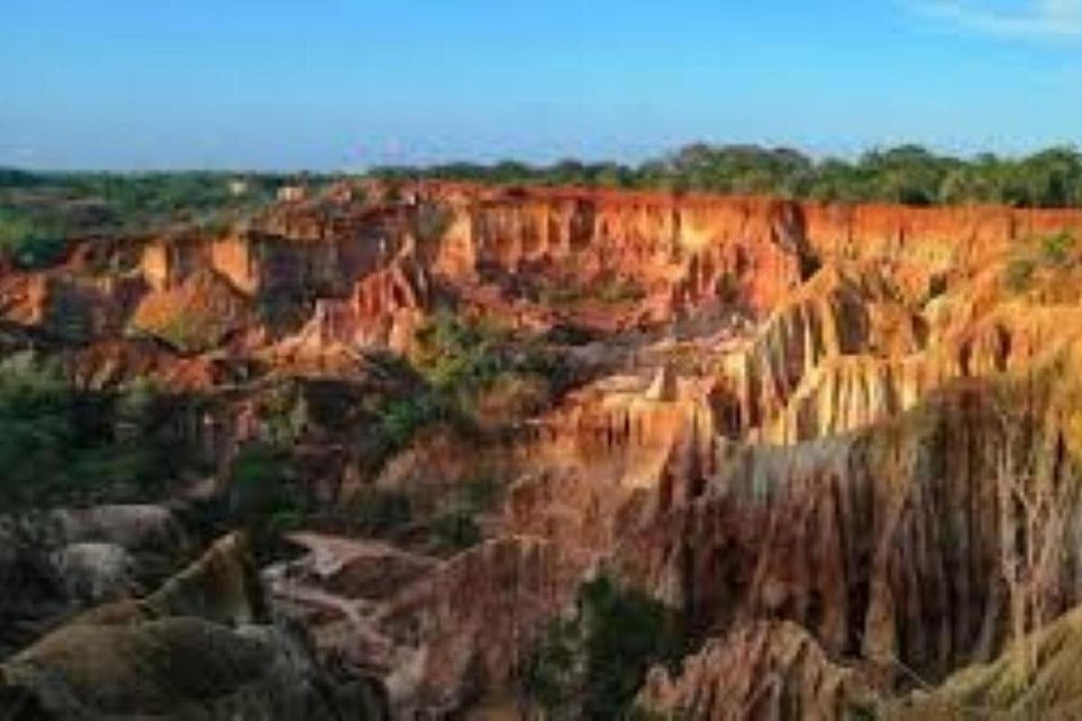 pemandangan ngarai dengan batu dan pokok