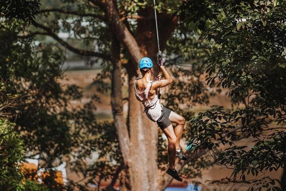 một người phụ nữ trên đường trượt zipline treo mình trên cây