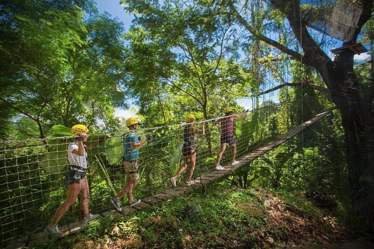 en gruppe mennesker på en hengebro i skogen