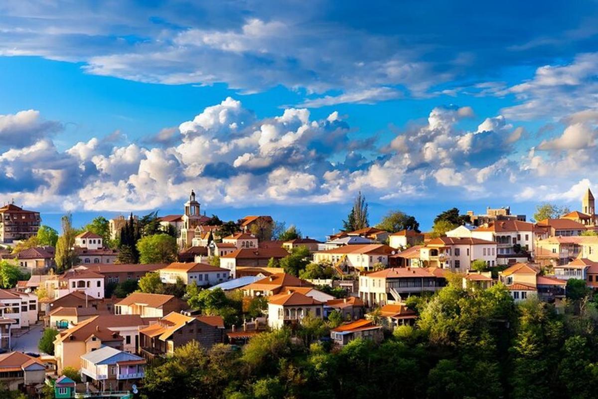 uma cidade em uma colina com casas