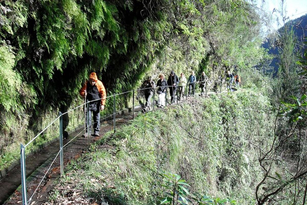 ormandaki bir patikada yürüyen bir grup insan