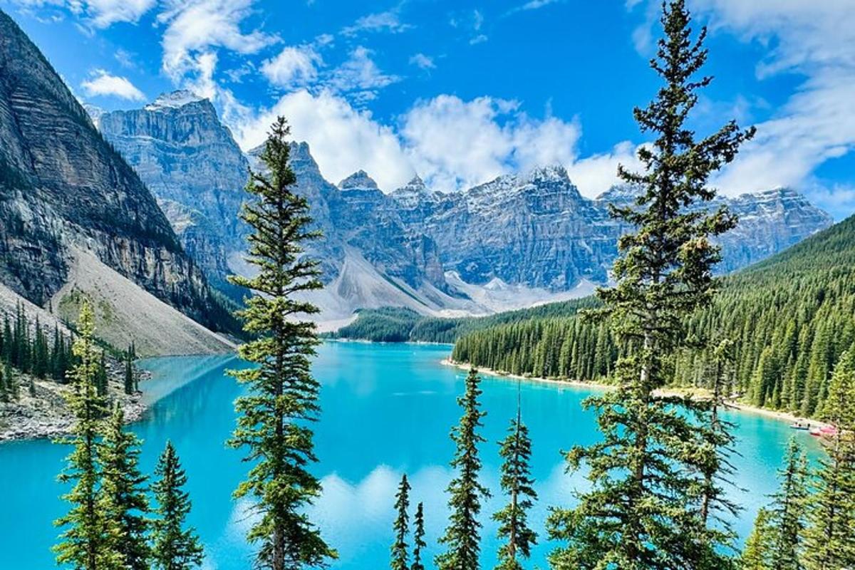 Una vista de un lago azul con árboles y montañas.