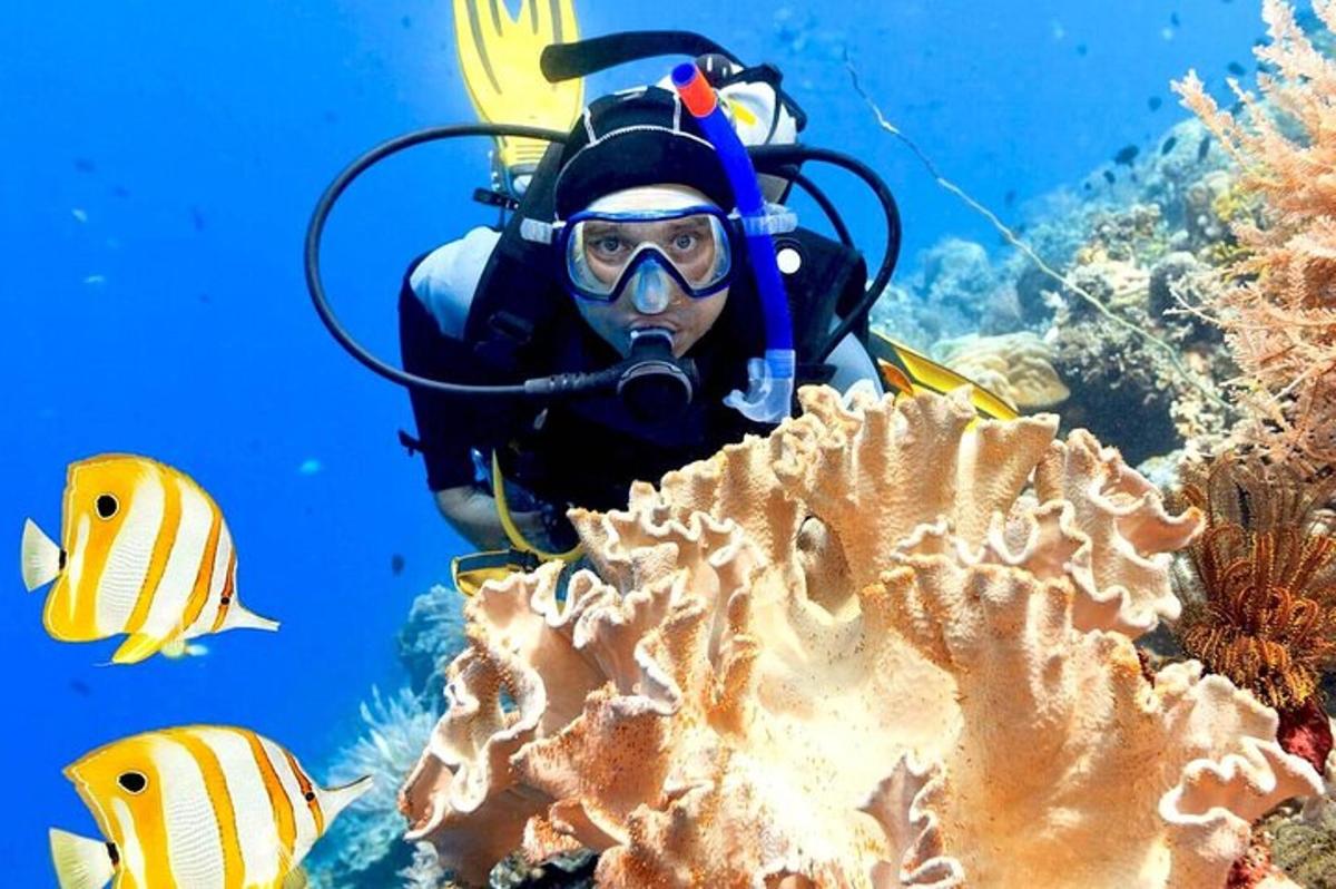 eine Person im Taucheranzug und ein Taucher im Ozean