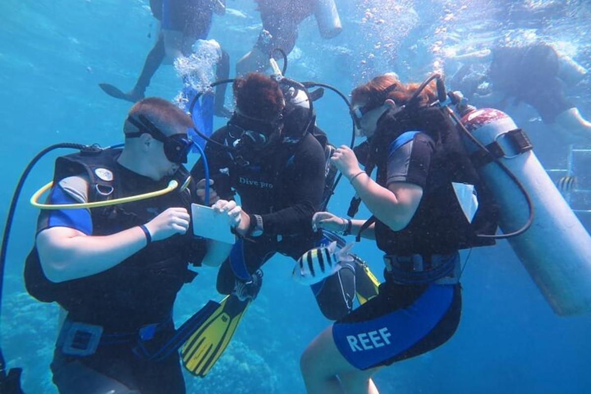 水中で写真を撮っている人々のグループ