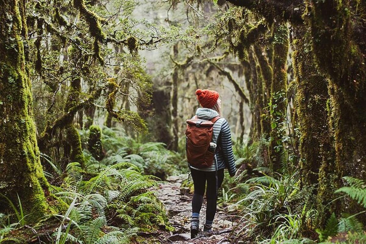 a person with a backpack walking through a forest