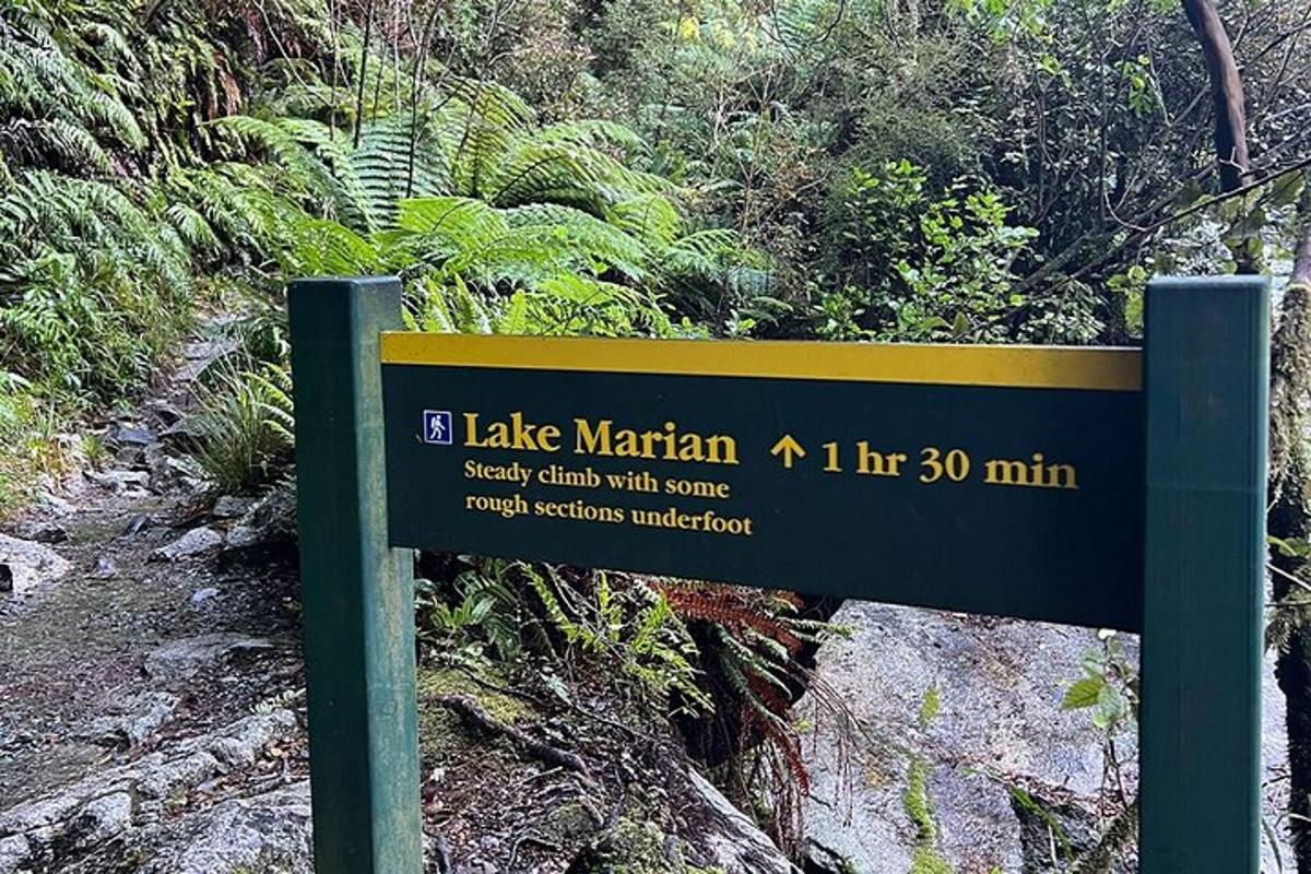a sign for a hiking trail on a mountain