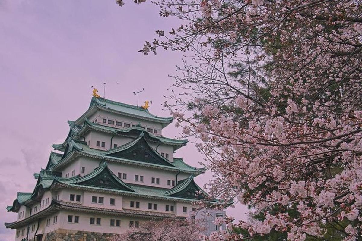 a japanese building with pinkakura trees in front of it