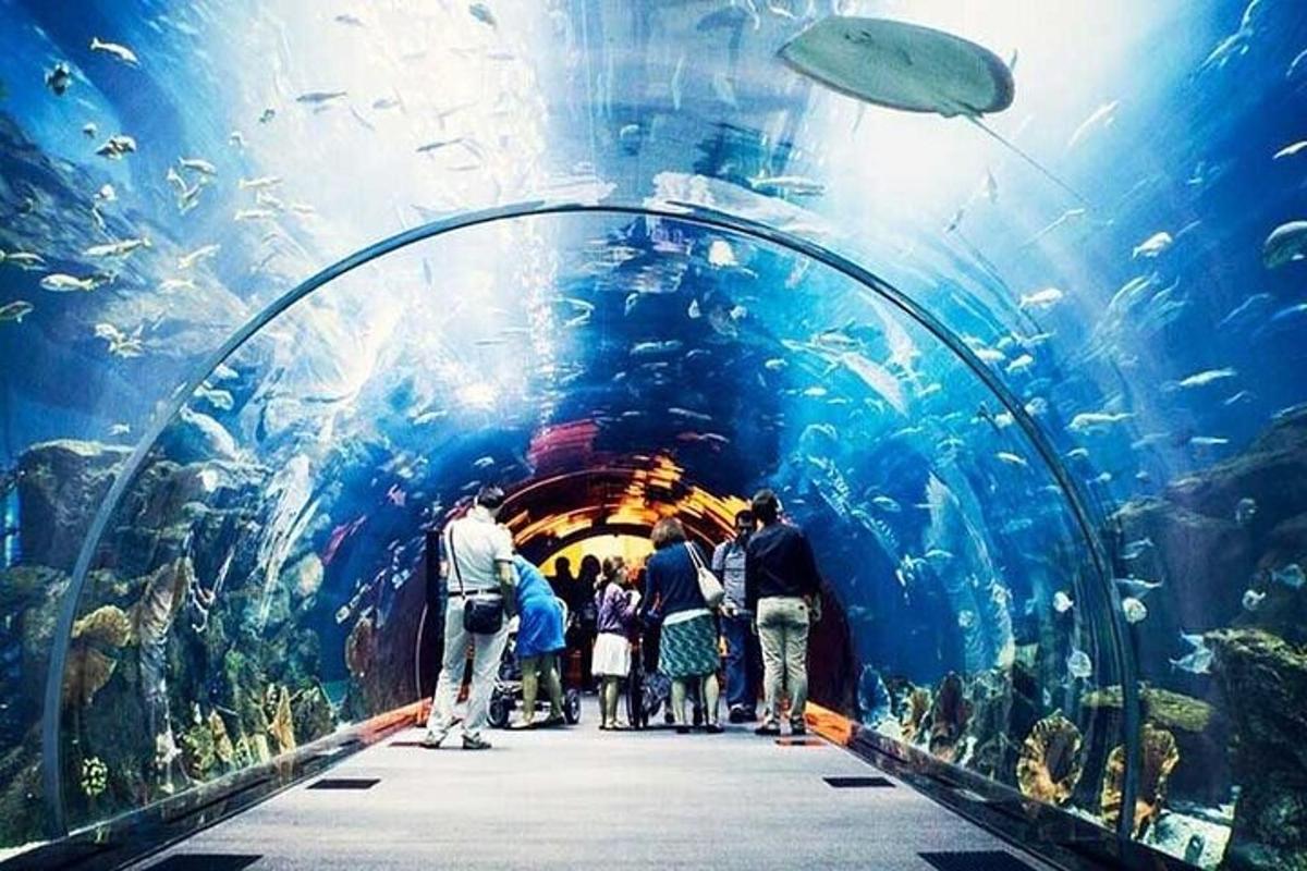 Attraction picture 2