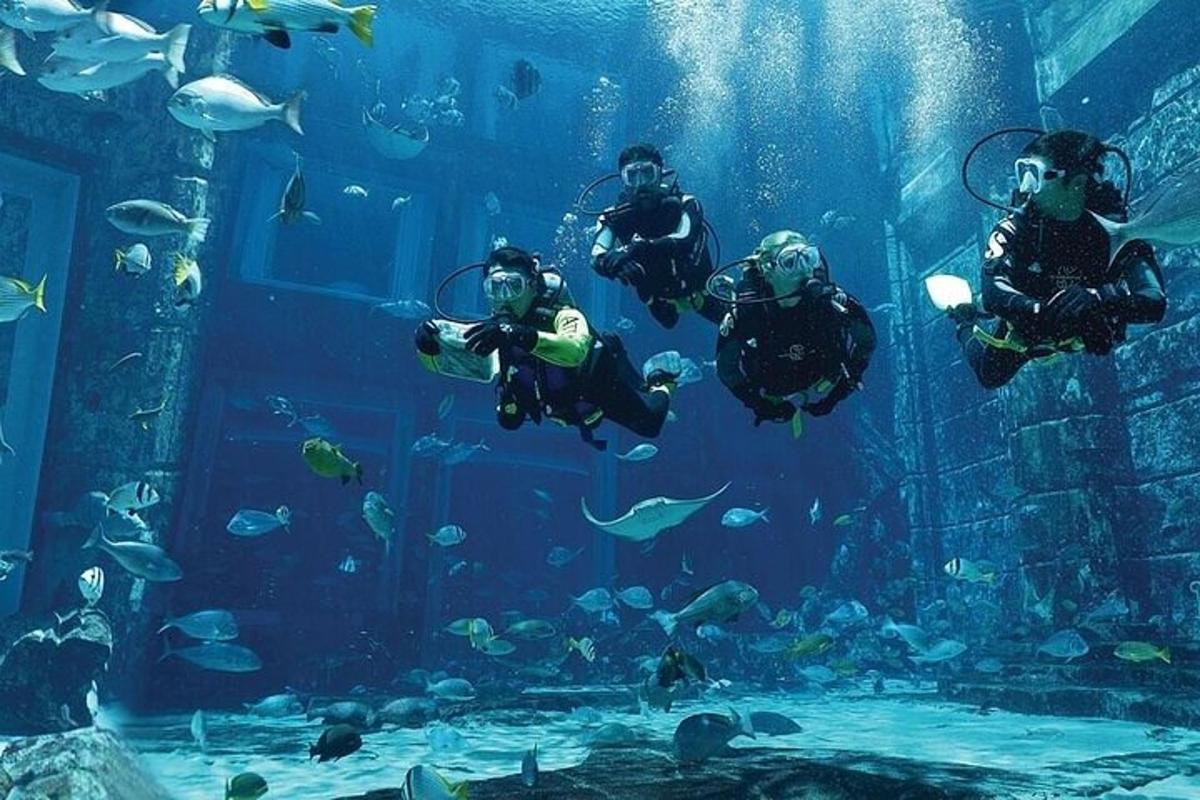 Attraction picture 7