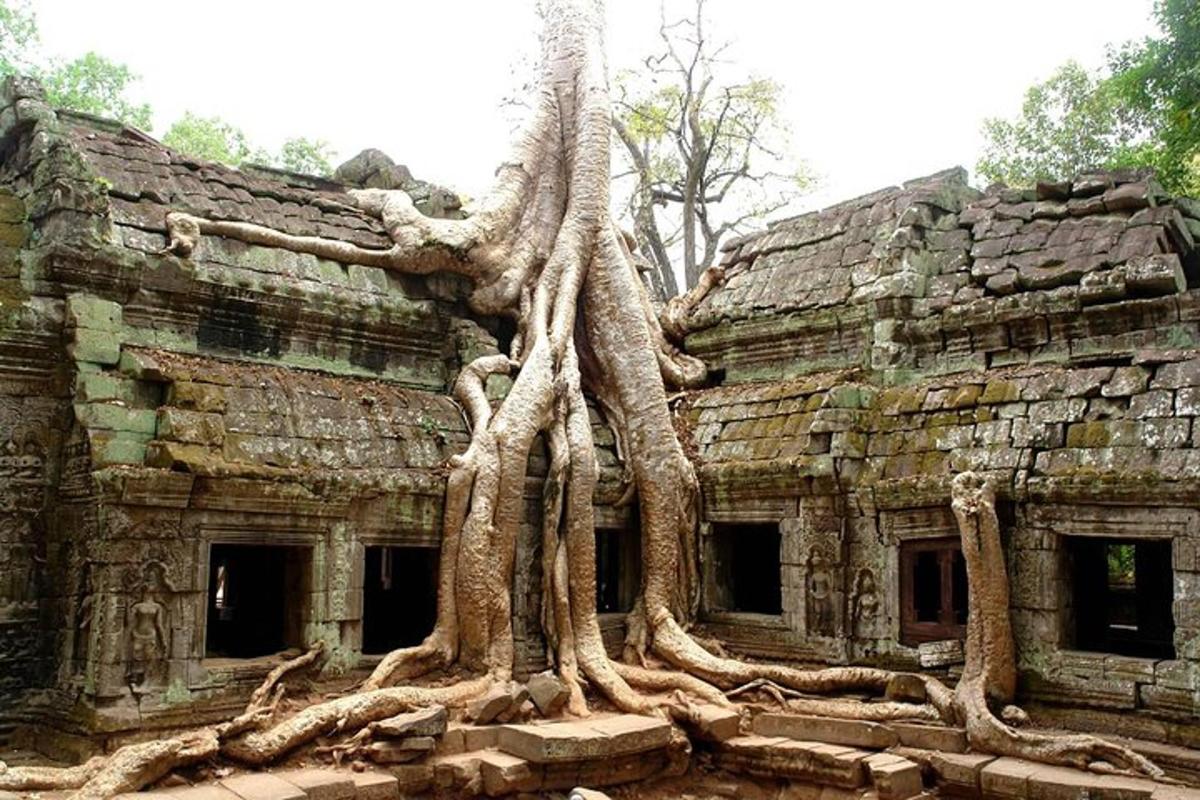 a building with trees growing on the side of it