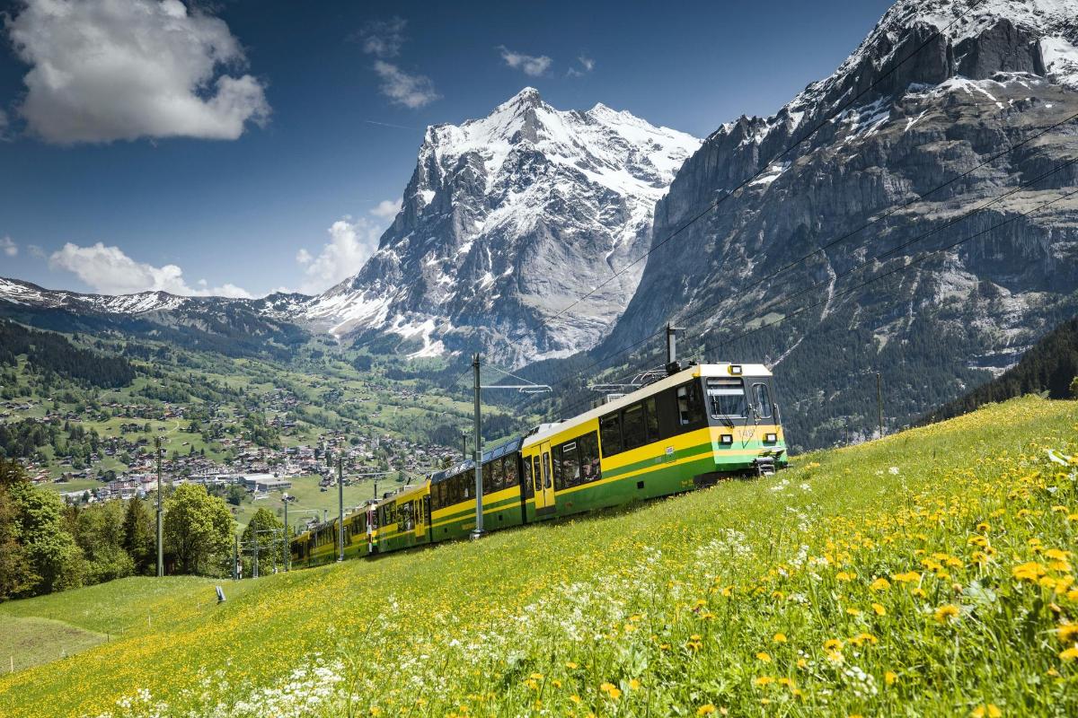 a yellow and green train on a hill with a mountain